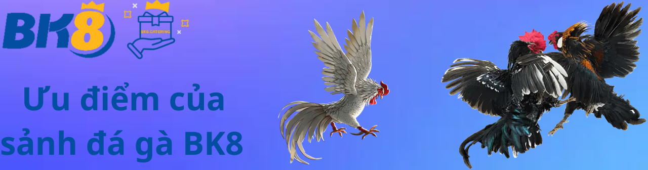 Ưu điểm của đá gà BK8