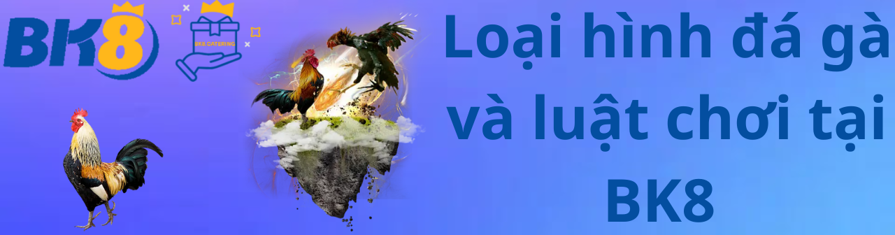 Loại hình đá gà và luật chơi tại BK8